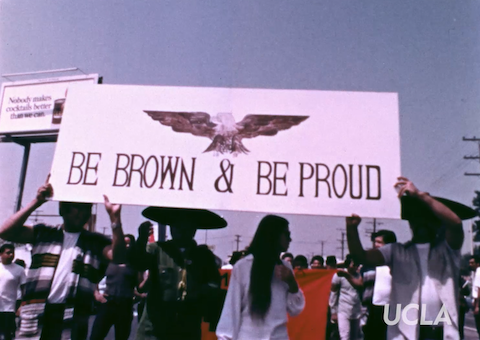 Be Brown and Be Proud